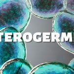 Enterogermina Yetişkin Probiyotik 100 ml – 5 ml x 20 Flakon